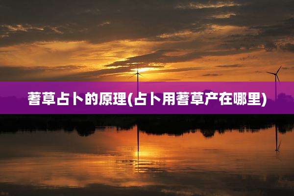 蓍草占卜的原理(占卜用蓍草产在哪里)