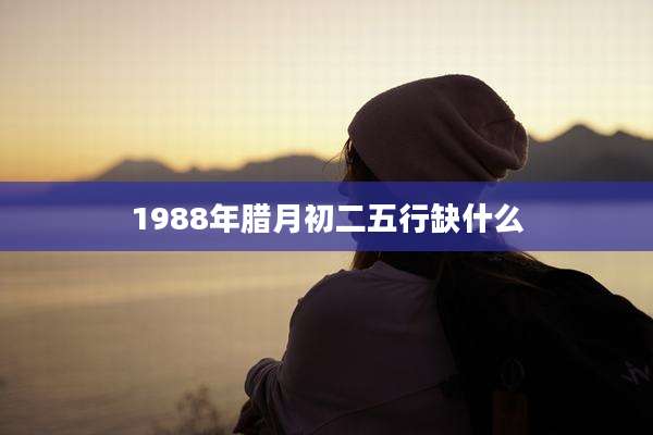 1988年腊月初二五行缺什么