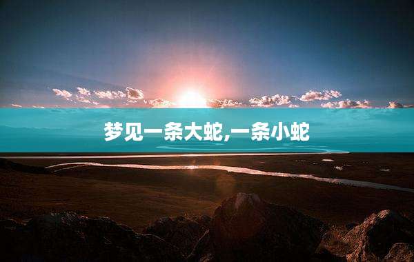梦见一条大蛇,一条小蛇