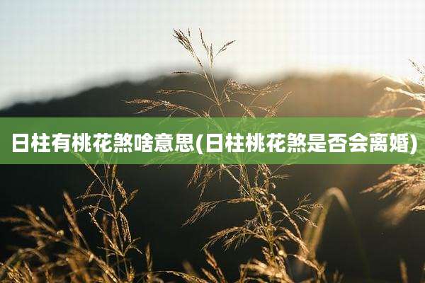 日柱有桃花煞啥意思(日柱桃花煞是否会离婚)