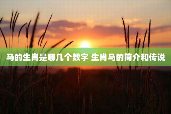 马的生肖是哪几个数字 生肖马的简介和传说
