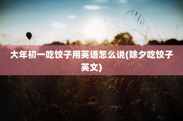 大年初一吃饺子用英语怎么说(除夕吃饺子英文)