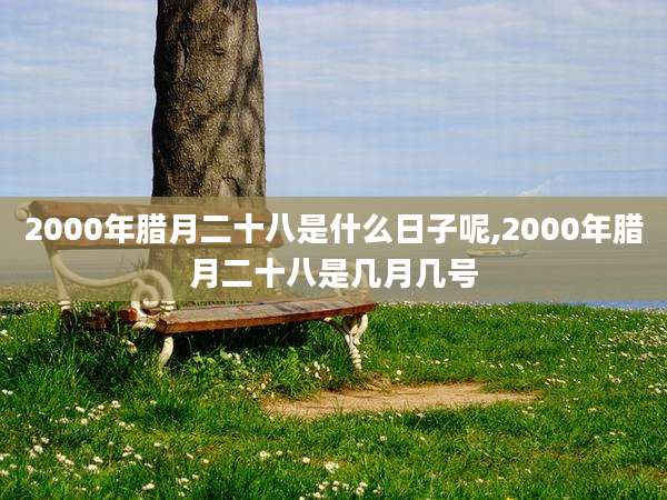 2000年腊月二十八是什么日子呢,2000年腊月二十八是几月几号
