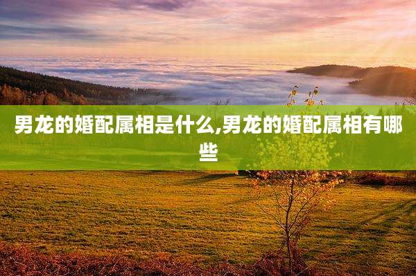 男龙的婚配属相是什么,男龙的婚配属相有哪些