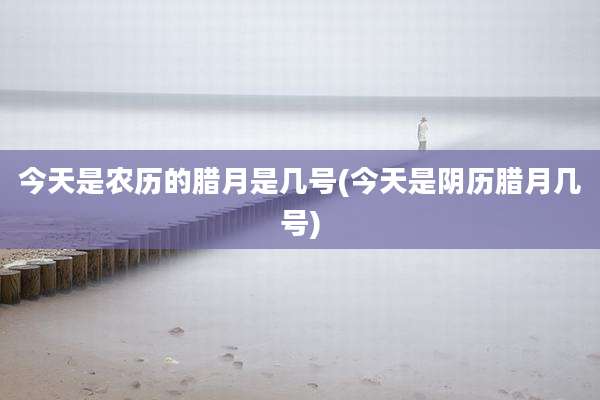 今天是农历的腊月是几号(今天是阴历腊月几号)