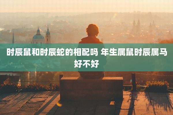 时辰鼠和时辰蛇的相配吗 年生属鼠时辰属马好不好