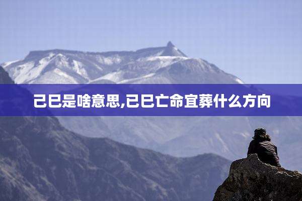 己巳是啥意思,已巳亡命宜葬什么方向