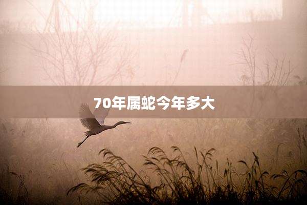 70年属蛇今年多大