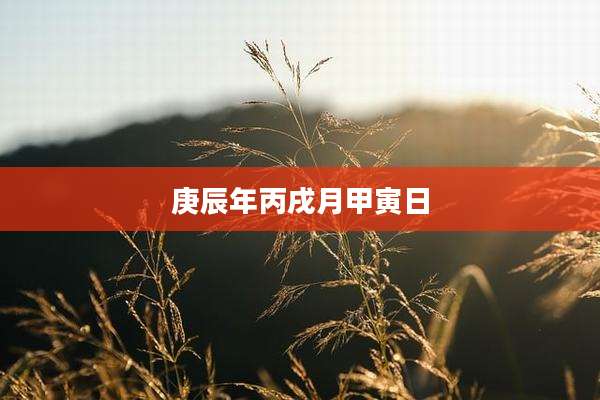 庚辰年丙戌月甲寅日