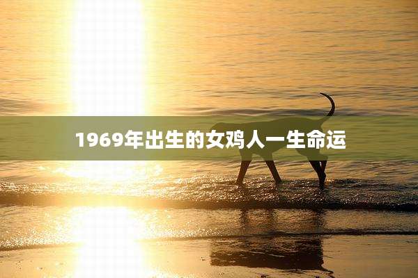 1969年出生的女鸡人一生命运