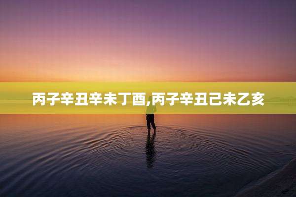 丙子辛丑辛未丁酉,丙子辛丑己未乙亥