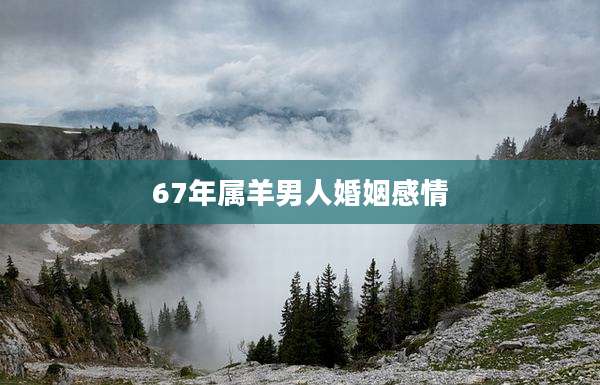 67年属羊男人婚姻感情