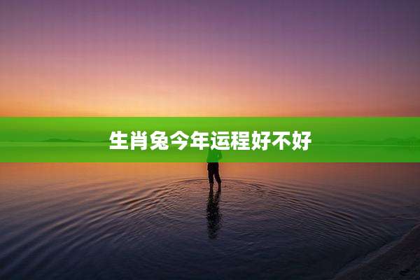 生肖兔今年运程好不好