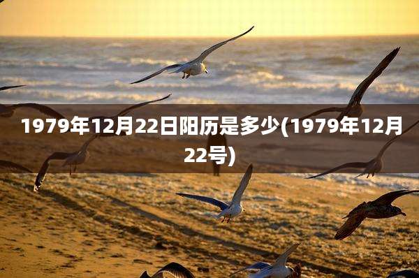 1979年12月22日阳历是多少(1979年12月22号)