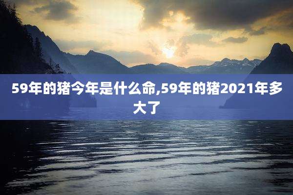 59年的猪今年是什么命,59年的猪2021年多大了