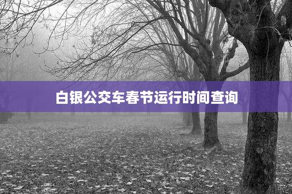 白银公交车春节运行时间查询