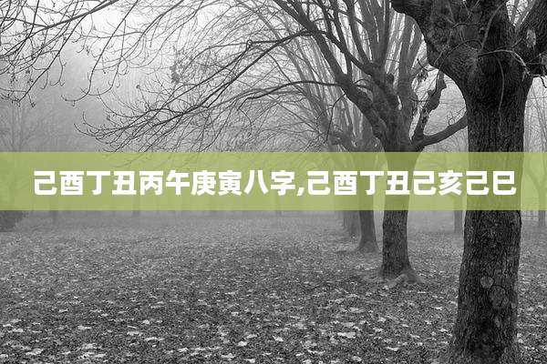 己酉丁丑丙午庚寅八字,己酉丁丑己亥己巳