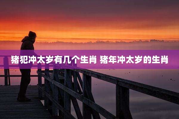 猪犯冲太岁有几个生肖 猪年冲太岁的生肖