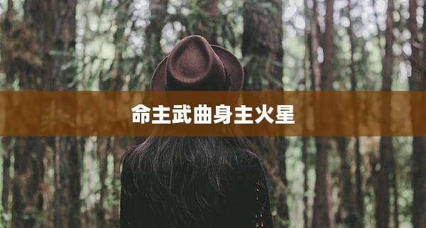 命主武曲身主火星