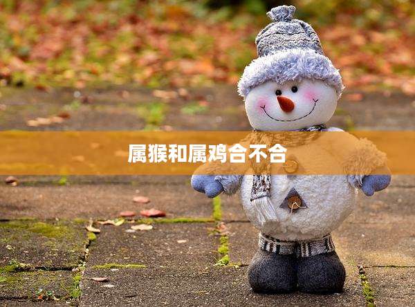 属猴和属鸡合不合