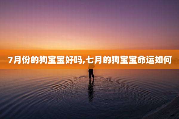 7月份的狗宝宝好吗,七月的狗宝宝命运如何