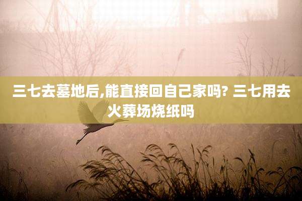 三七去墓地后,能直接回自己家吗? 三七用去火葬场烧纸吗