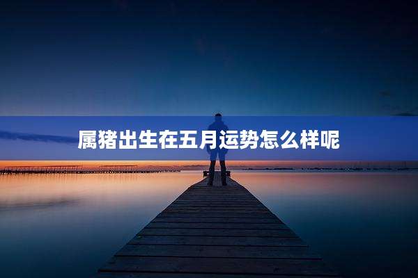 属猪出生在五月运势怎么样呢