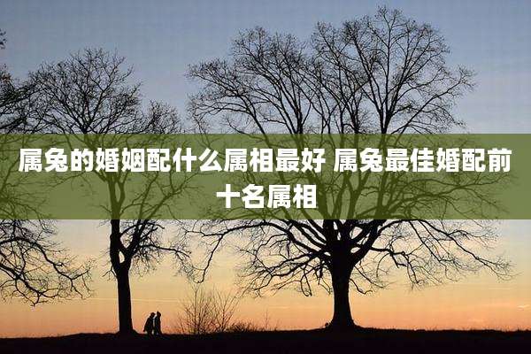 属兔的婚姻配什么属相最好 属兔最佳婚配前十名属相