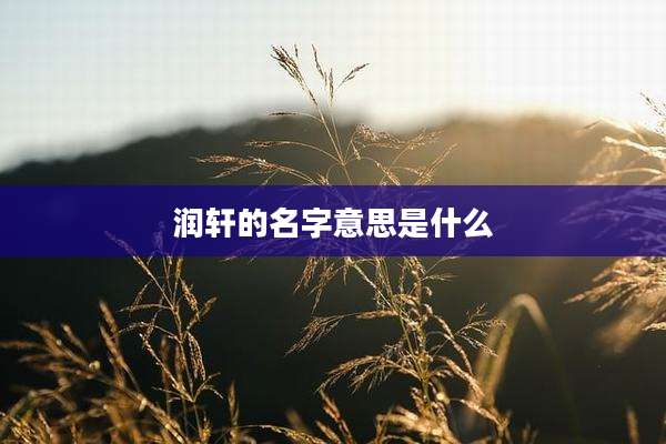 润轩的名字意思是什么