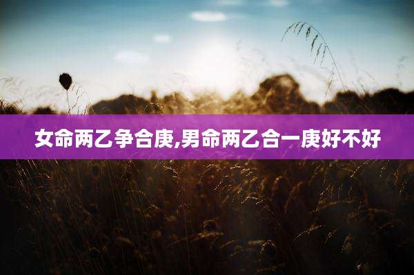 女命两乙争合庚,男命两乙合一庚好不好
