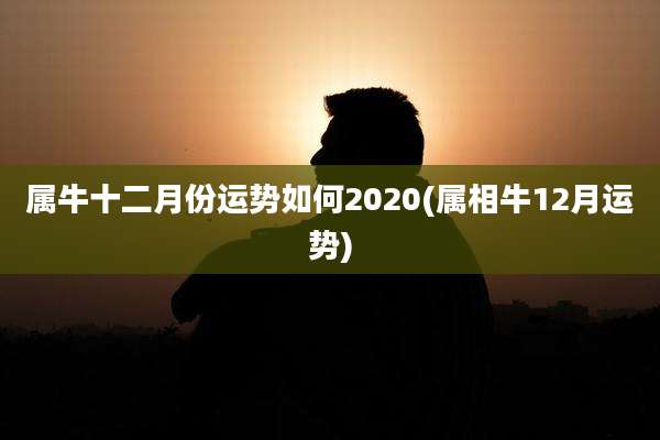 属牛十二月份运势如何2020(属相牛12月运势)