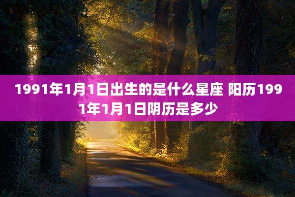 1991年1月1日出生的是什么星座 阳历1991年1月1日阴历是多少