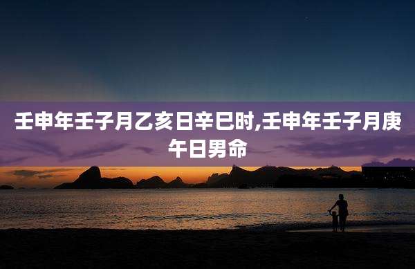 壬申年壬子月乙亥日辛巳时,壬申年壬子月庚午日男命