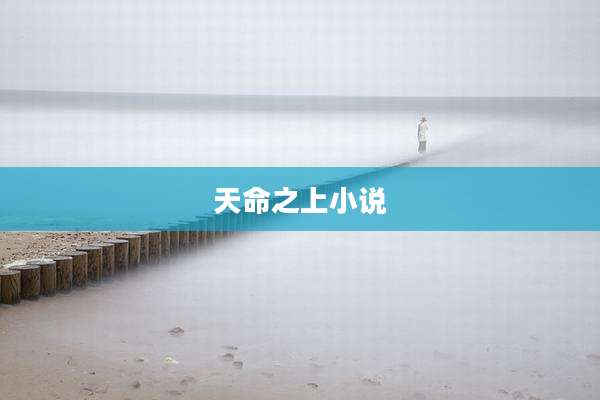 天命之上小说