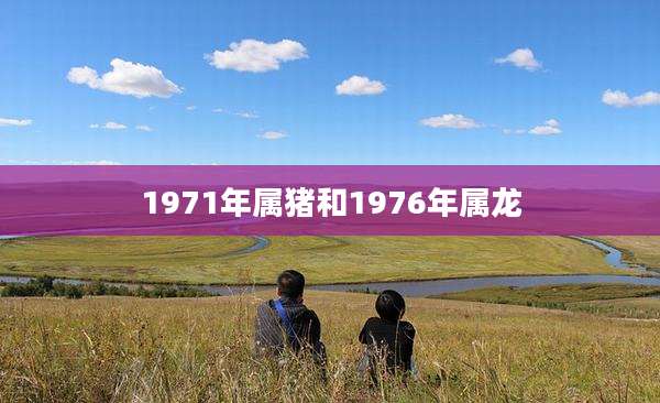 1971年属猪和1976年属龙