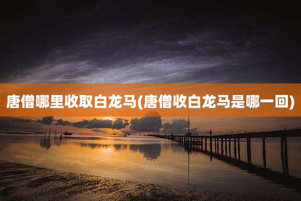 唐僧哪里收取白龙马(唐僧收白龙马是哪一回)