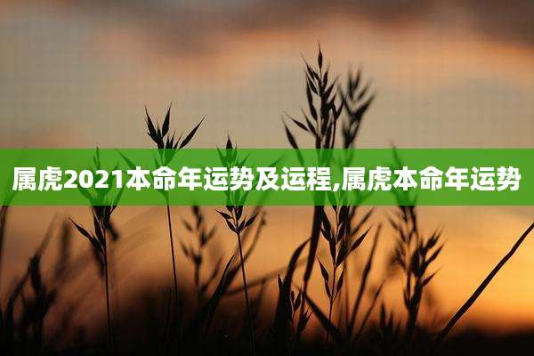 属虎2021本命年运势及运程,属虎本命年运势