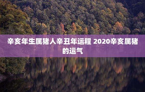 辛亥年生属猪人辛丑年运程 2020辛亥属猪的运气