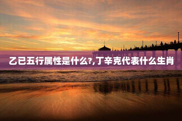 乙已五行属性是什么?,丁辛克代表什么生肖