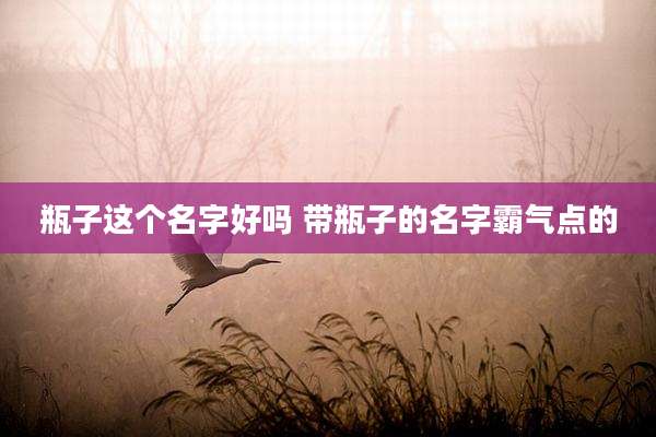 瓶子这个名字好吗 带瓶子的名字霸气点的