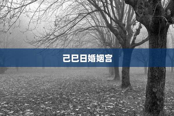 己巳日婚姻宫