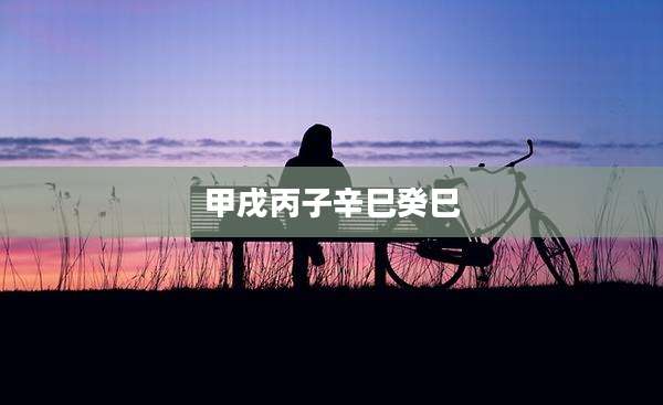 甲戌丙子辛巳癸巳