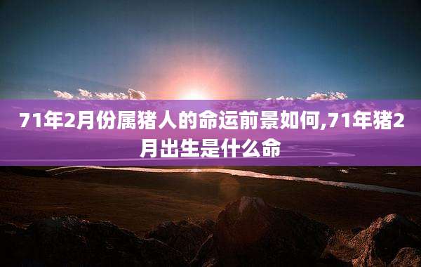71年2月份属猪人的命运前景如何,71年猪2月出生是什么命