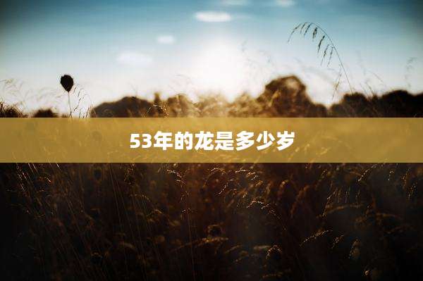 53年的龙是多少岁