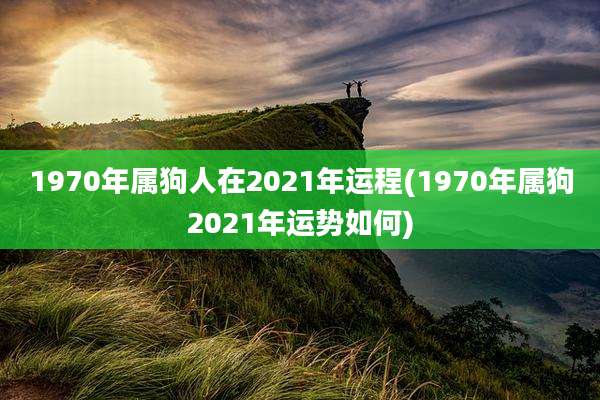 1970年属狗人在2021年运程(1970年属狗2021年运势如何)