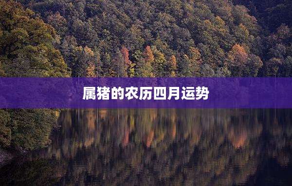 属猪的农历四月运势