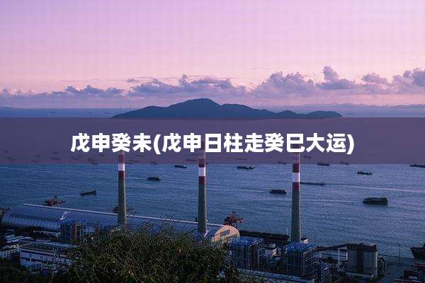 戊申癸未(戊申日柱走癸巳大运)