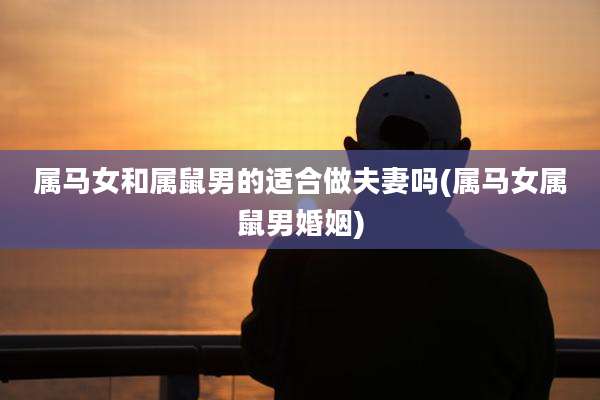 属马女和属鼠男的适合做夫妻吗(属马女属鼠男婚姻)