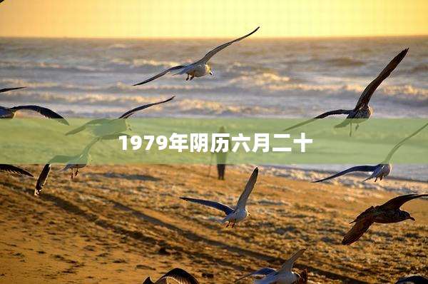 1979年阴历六月二十