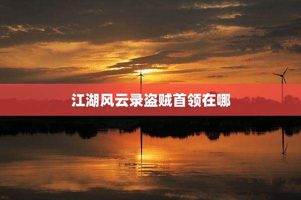 江湖风云录盗贼首领在哪